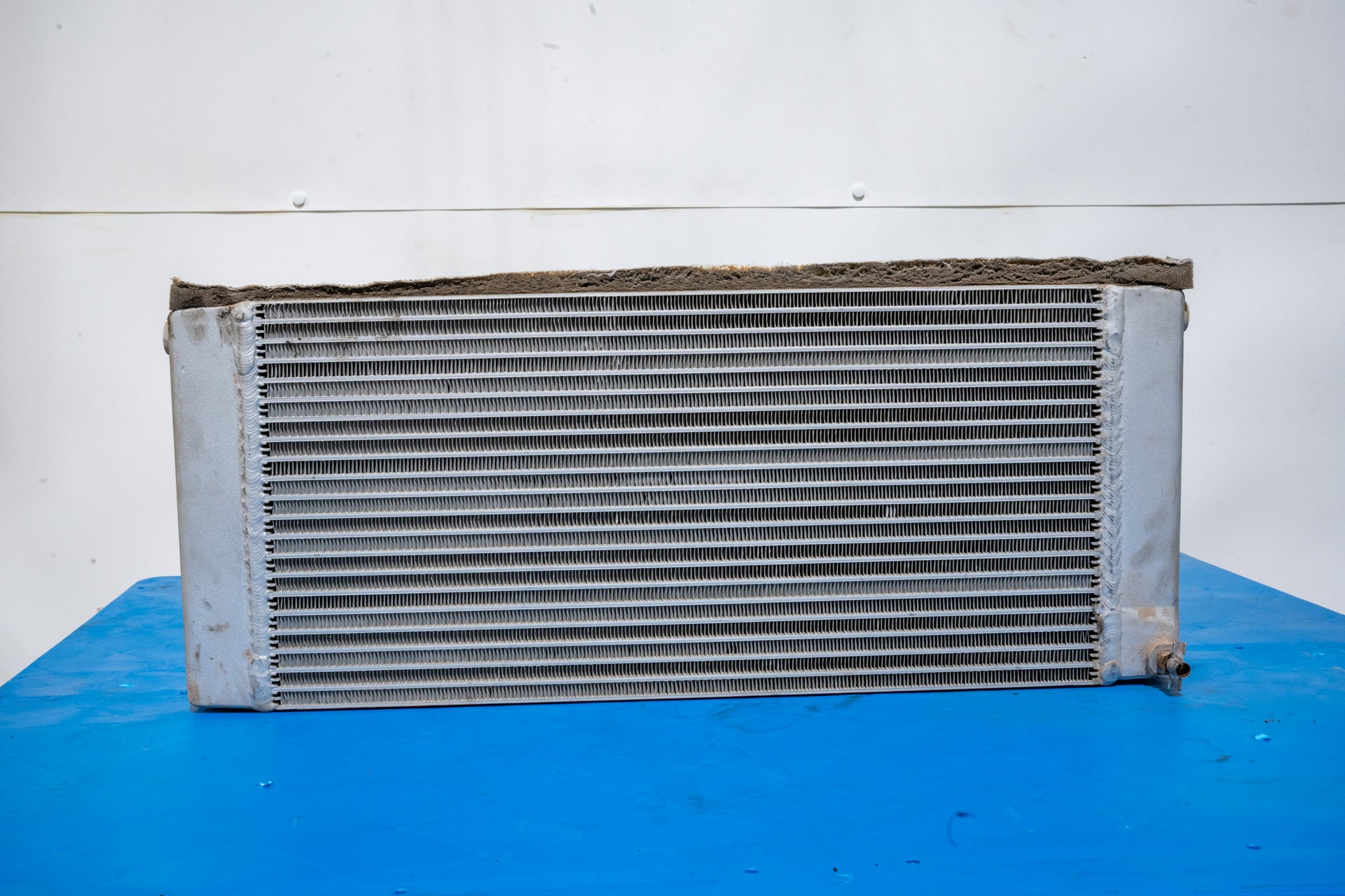 Radiator - 51631980U